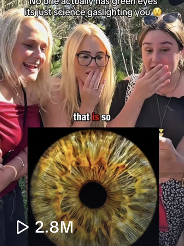 TikTok Video 1