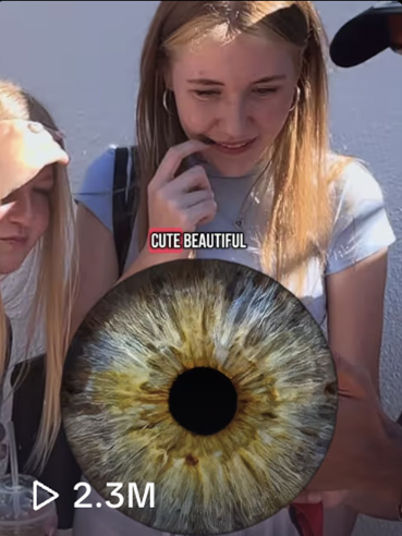 TikTok Video 3