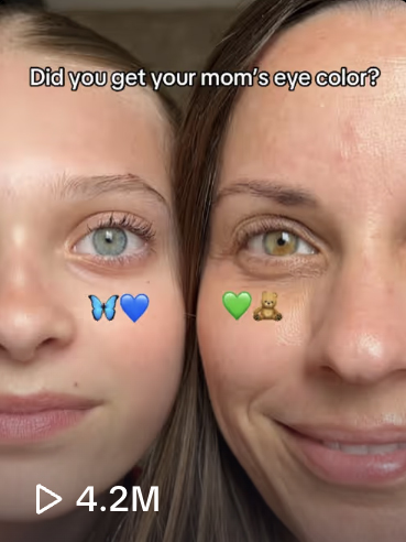 TikTok Video 4